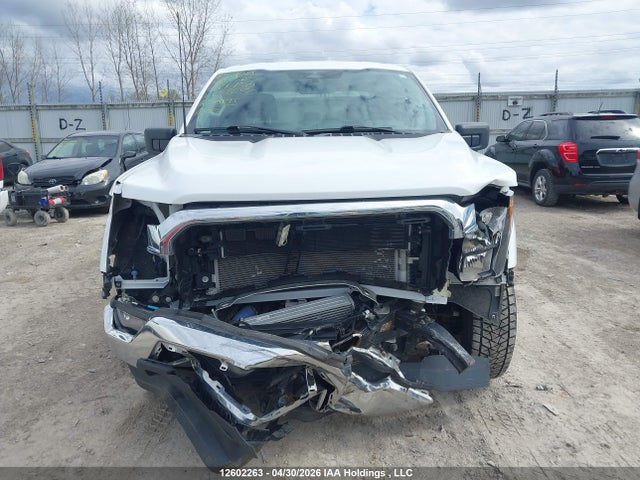 Aukcja sprzedaży 2023 Ford F150 Supercrew, vin: 1FTFW1ED6PFC32250, numer aukcji: 12602263