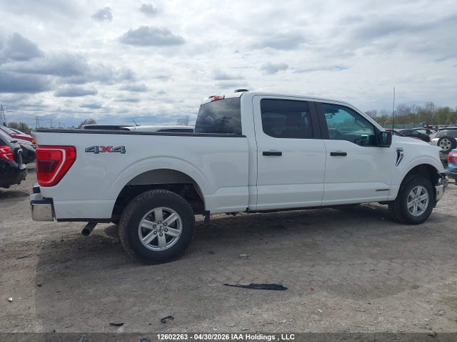 Aukcja sprzedaży 2023 Ford F150 Supercrew, vin: 1FTFW1ED6PFC32250, numer aukcji: 12602263