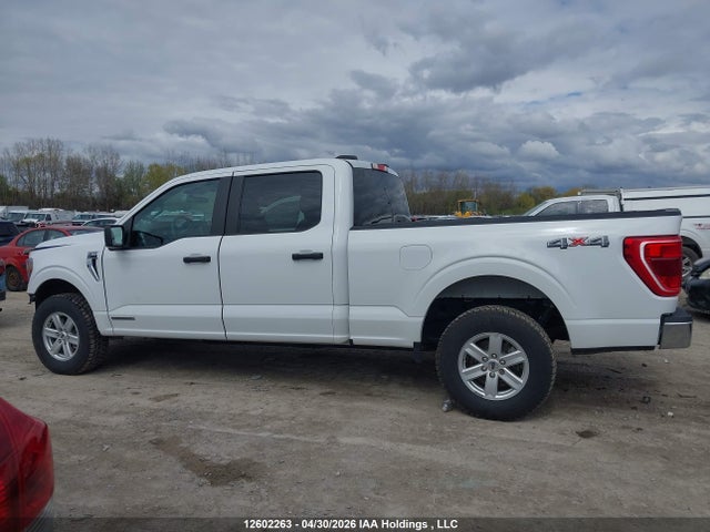 Aukcja sprzedaży 2023 Ford F150 Supercrew, vin: 1FTFW1ED6PFC32250, numer aukcji: 12602263