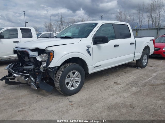 Aukcja sprzedaży 2023 Ford F150 Supercrew, vin: 1FTFW1ED6PFC32250, numer aukcji: 12602263
