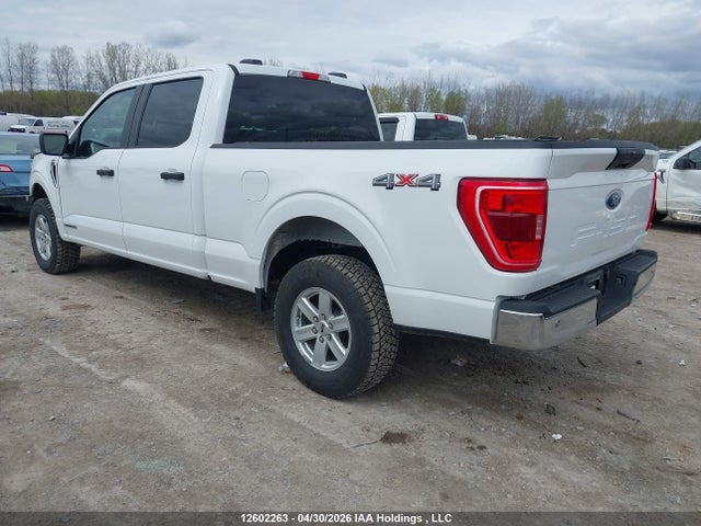 Aukcja sprzedaży 2023 Ford F150 Supercrew, vin: 1FTFW1ED6PFC32250, numer aukcji: 12602263