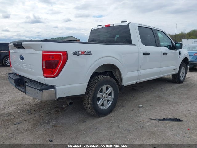 Aukcja sprzedaży 2023 Ford F150 Supercrew, vin: 1FTFW1ED6PFC32250, numer aukcji: 12602263