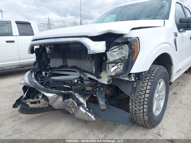 Aukcja sprzedaży 2023 Ford F150 Supercrew, vin: 1FTFW1ED6PFC32250, numer aukcji: 12602263