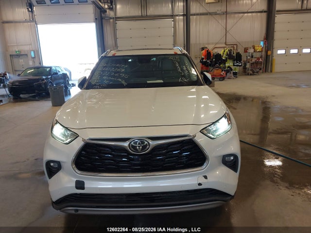 Toyota Highlander Limited 2022 5TDFZRBH5NS227695 Image 6