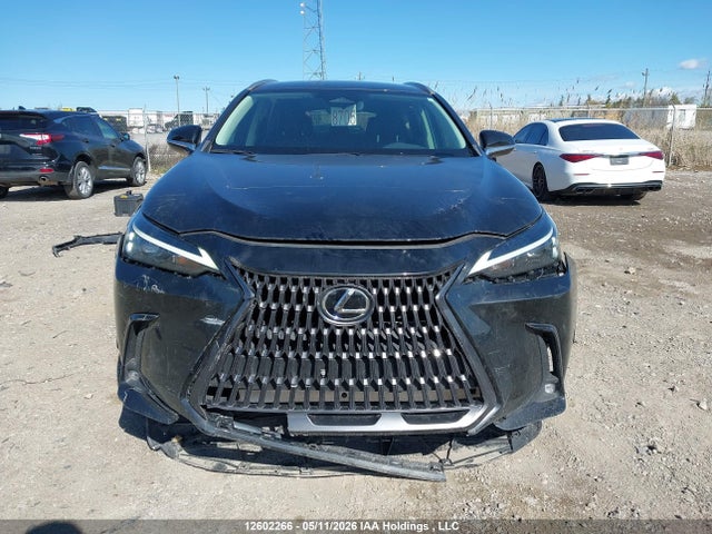 2T2AKCEZ0RC028998 Lexus Nx 350h 350h