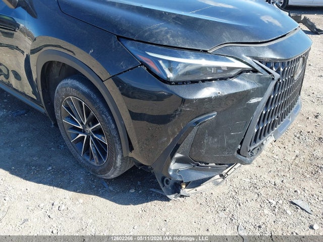 2T2AKCEZ0RC028998 Lexus Nx 350h 350h