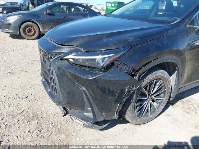 2T2AKCEZ0RC028998 Lexus Nx 350h 350h