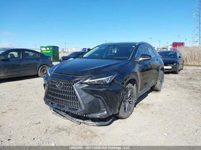 2T2AKCEZ0RC028998 Lexus Nx 350h 350h