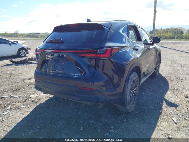 2T2AKCEZ0RC028998 Lexus Nx 350h 350h