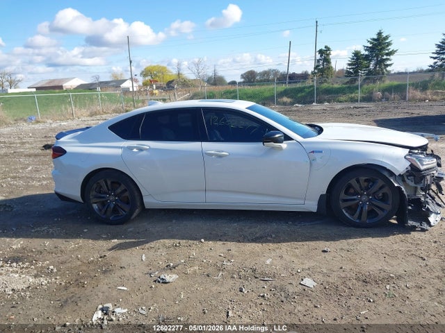 2021 Acura Tlx მანქანა იყიდება აუქციონზე, vin: 19UUB6F59MA800296, აუქციონის ნომერი: 12602277