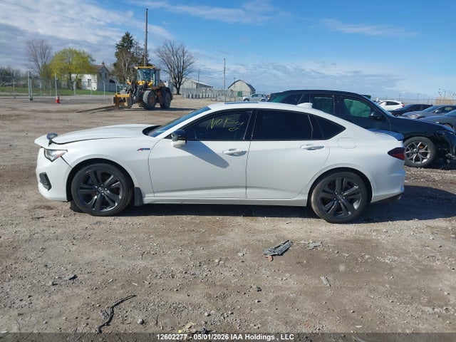 2021 Acura Tlx მანქანა იყიდება აუქციონზე, vin: 19UUB6F59MA800296, აუქციონის ნომერი: 12602277