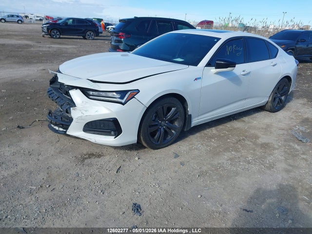 2021 Acura Tlx მანქანა იყიდება აუქციონზე, vin: 19UUB6F59MA800296, აუქციონის ნომერი: 12602277