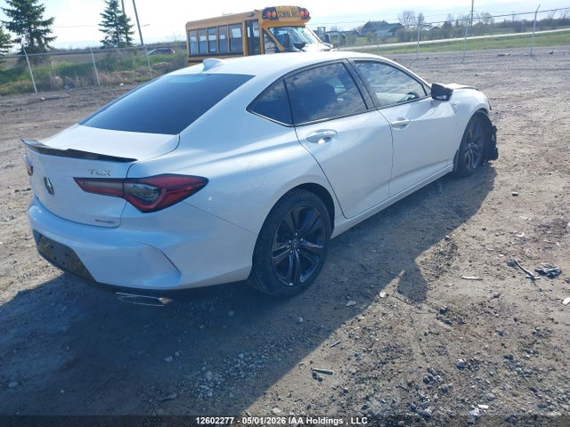 2021 Acura Tlx მანქანა იყიდება აუქციონზე, vin: 19UUB6F59MA800296, აუქციონის ნომერი: 12602277