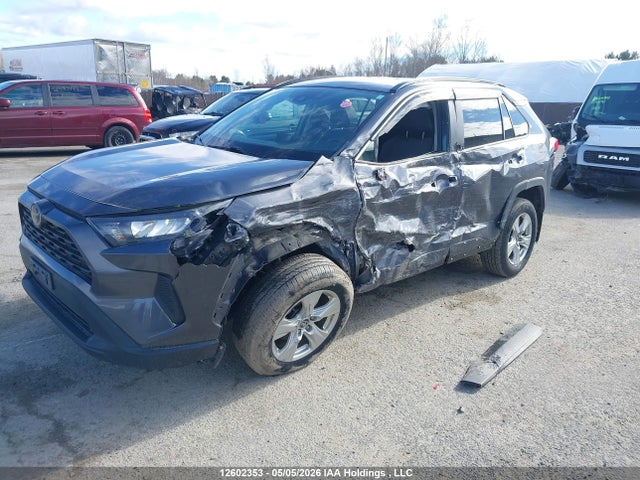 12602353 :رقم المزاد ، 2T3B1RFV7KW069697 vin ، 2019 Toyota Rav4 Le مزاد بيع