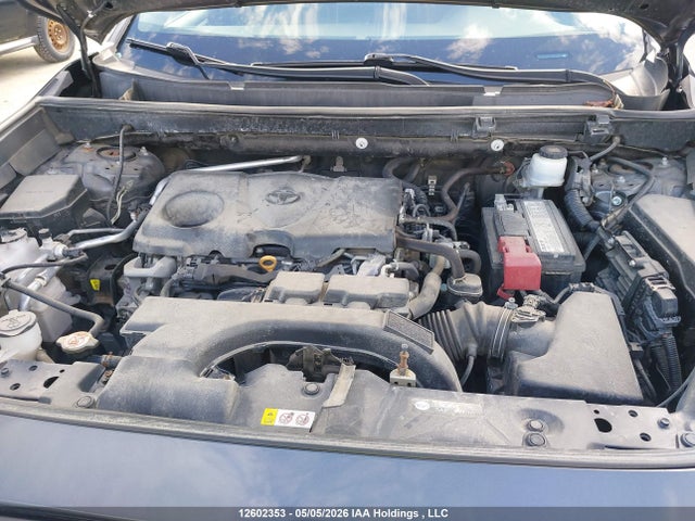 12602353 :رقم المزاد ، 2T3B1RFV7KW069697 vin ، 2019 Toyota Rav4 Le مزاد بيع