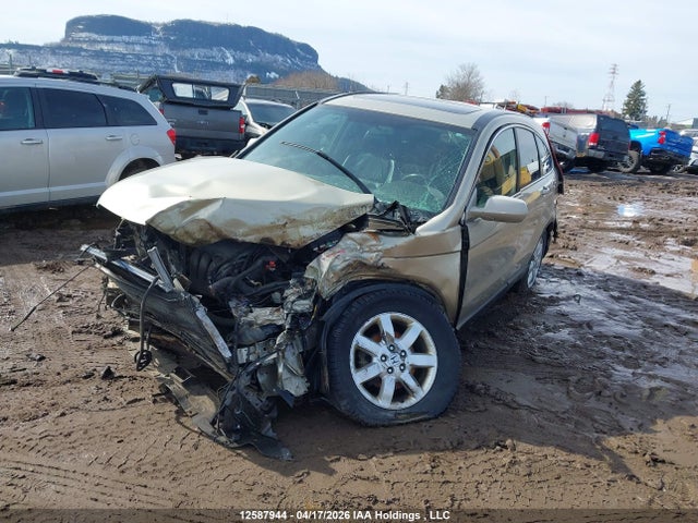 Aukcja sprzedaży 2007 Honda Cr-v Ex-l, vin: 5J6RE48727L802053, numer aukcji: 12587944