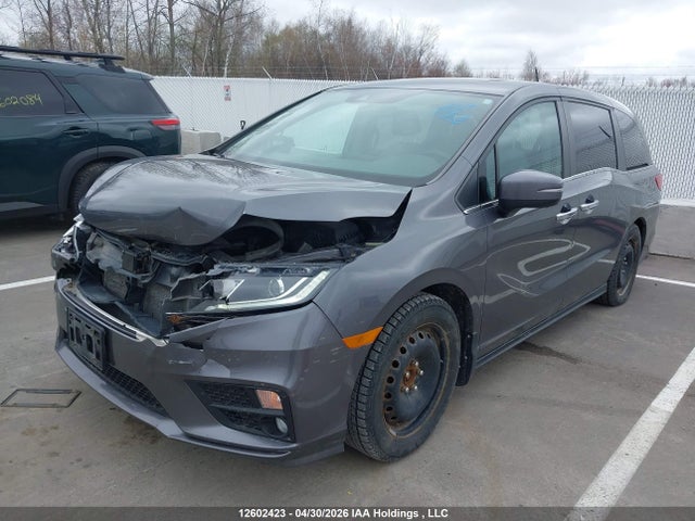12602423 :رقم المزاد ، 5FNRL6H44KB507030 vin ، 2019 Honda Odyssey مزاد بيع