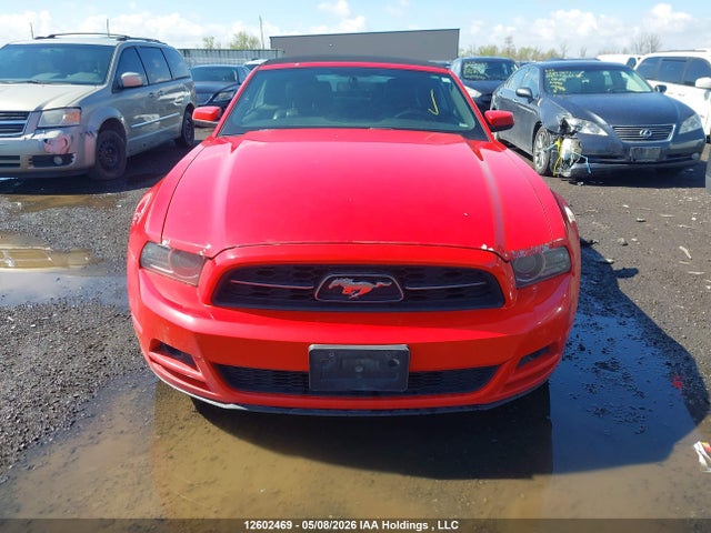 Продаж на аукціоні авто 2013 Ford Mustang, vin: 1ZVBP8EM9D5217597, номер лоту: 12602469