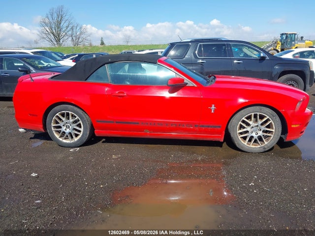 Продаж на аукціоні авто 2013 Ford Mustang, vin: 1ZVBP8EM9D5217597, номер лоту: 12602469