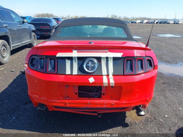 Продаж на аукціоні авто 2013 Ford Mustang, vin: 1ZVBP8EM9D5217597, номер лоту: 12602469