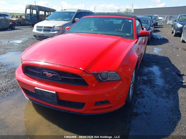 Продаж на аукціоні авто 2013 Ford Mustang, vin: 1ZVBP8EM9D5217597, номер лоту: 12602469