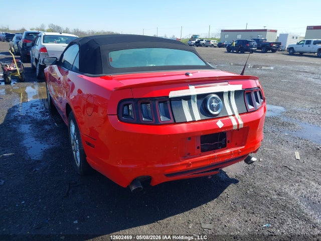 Продаж на аукціоні авто 2013 Ford Mustang, vin: 1ZVBP8EM9D5217597, номер лоту: 12602469