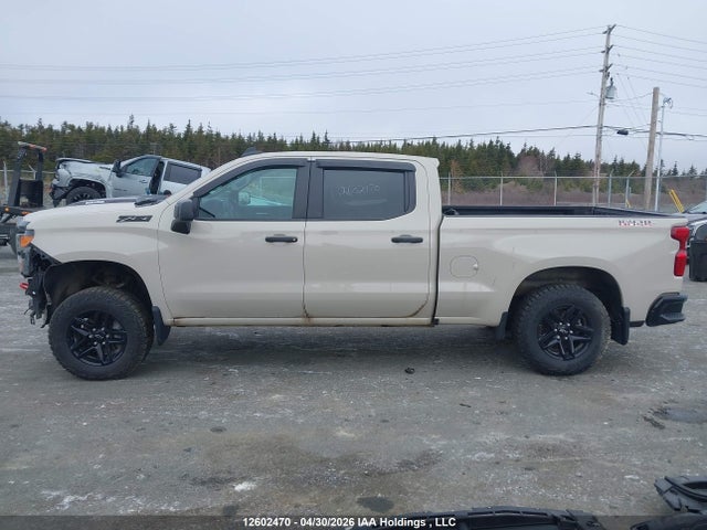 3GCUKCE81TG174381 Chevrolet Silverado K1500 Trail Boss Custom