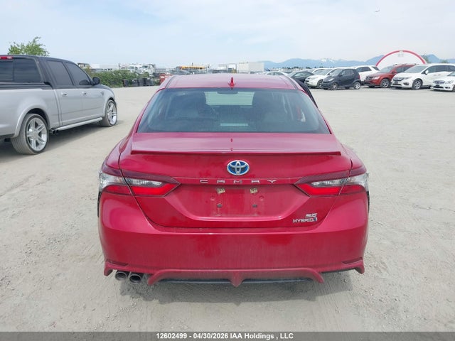 4T1B21HKXPU018597 Toyota Camry Xle/se
