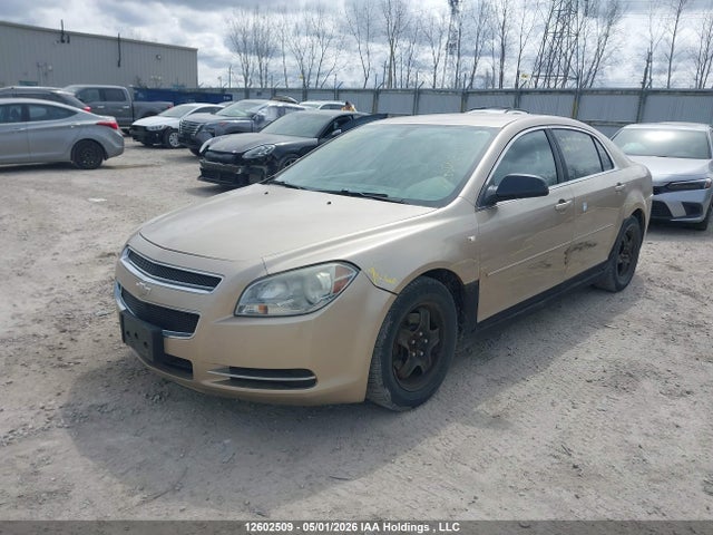 2008 Chevrolet Malibu Ls მანქანა იყიდება აუქციონზე, vin: 1G1ZG57B38F256822, აუქციონის ნომერი: 12602509