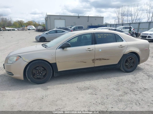2008 Chevrolet Malibu Ls მანქანა იყიდება აუქციონზე, vin: 1G1ZG57B38F256822, აუქციონის ნომერი: 12602509
