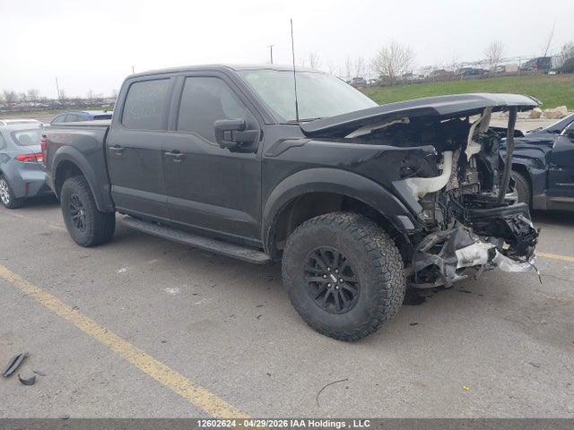Ford F150 Raptor 2024 1FTFW1RG8RFC05218 главное изображение