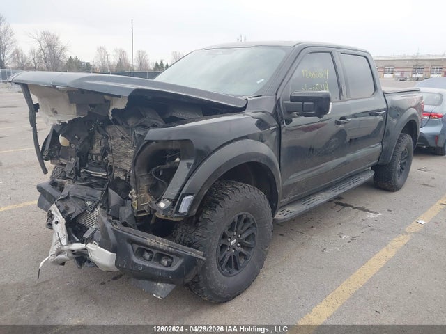 Ford F150 Raptor 2024 1FTFW1RG8RFC05218 Image 2