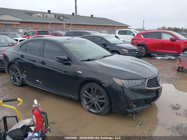 12602648 :رقم المزاد ، 19UUB3F87KA800481 vin ، 2019 Acura Tlx Advance مزاد بيع