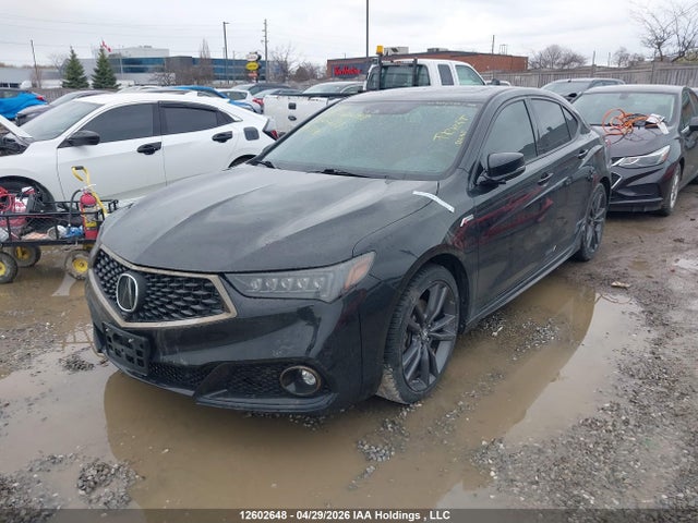 12602648 :رقم المزاد ، 19UUB3F87KA800481 vin ، 2019 Acura Tlx Advance مزاد بيع