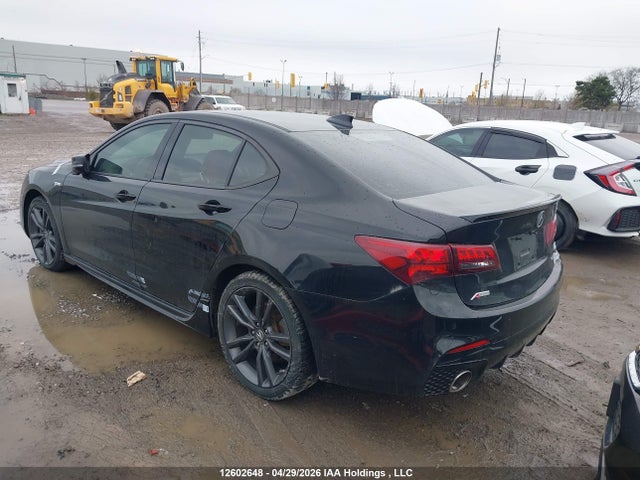 12602648 :رقم المزاد ، 19UUB3F87KA800481 vin ، 2019 Acura Tlx Advance مزاد بيع