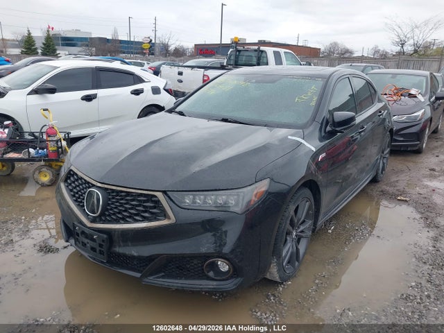 12602648 :رقم المزاد ، 19UUB3F87KA800481 vin ، 2019 Acura Tlx Advance مزاد بيع
