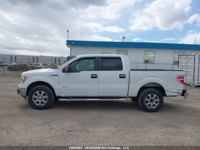 1FTFW1ET7EFA80094 Ford F-150 Xlt