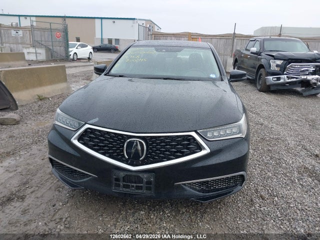 19UUB1F56KA800045 Acura TLX TECH