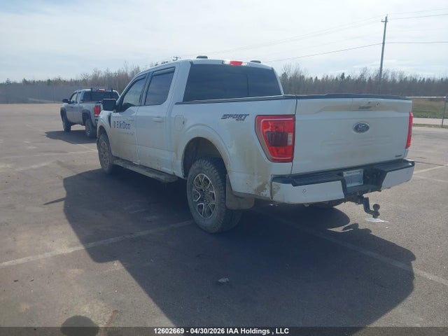 Ford F150 Supercrew 2023 1FTFW1E8XPKF79820 Image 3