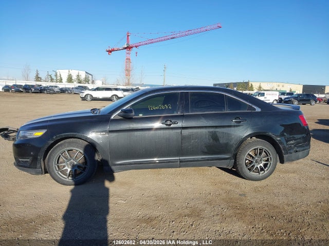 12602682 :رقم المزاد ، 1FAHP2KTXDG153134 vin ، 2013 Ford Taurus Sho مزاد بيع
