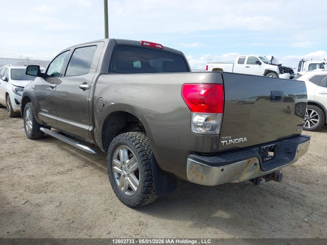 2009 Toyota Tundra Crewmax Limited მანქანა იყიდება აუქციონზე, vin: 5TFDV58109X083589, აუქციონის ნომერი: 12602733