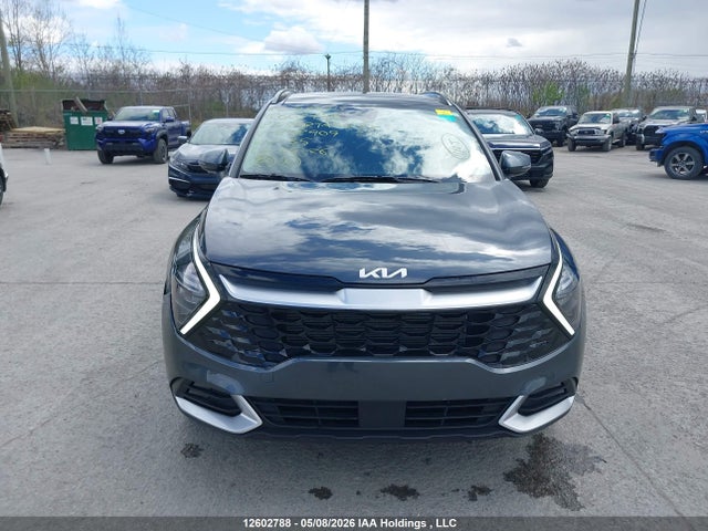 Продаж на аукціоні авто 2023 Kia Sportage Ex, vin: KNDPVCAF2P7202909, номер лоту: 12602788
