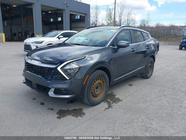 Продаж на аукціоні авто 2023 Kia Sportage Ex, vin: KNDPVCAF2P7202909, номер лоту: 12602788