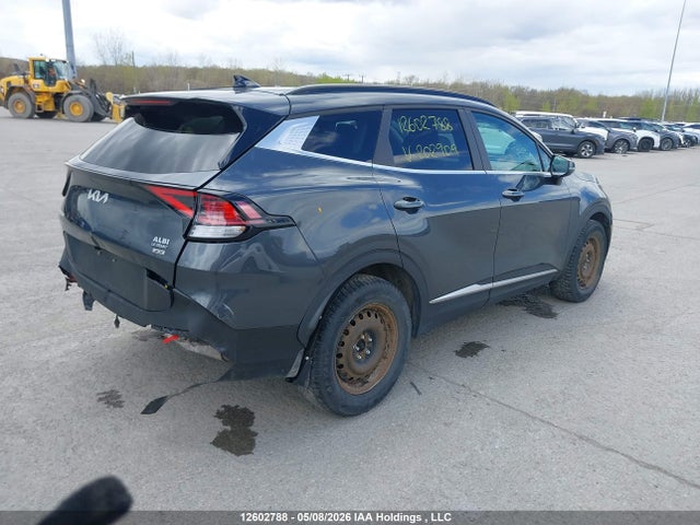 Продаж на аукціоні авто 2023 Kia Sportage Ex, vin: KNDPVCAF2P7202909, номер лоту: 12602788