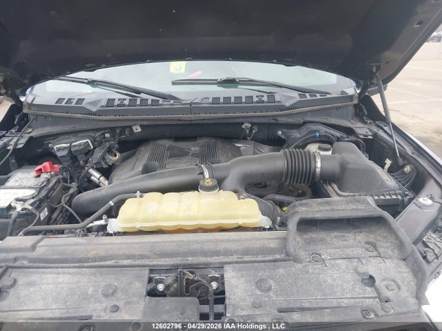 2019 Ford F150 Supercrew მანქანა იყიდება აუქციონზე, vin: 1FTFW1E40KFC35055, აუქციონის ნომერი: 12602796