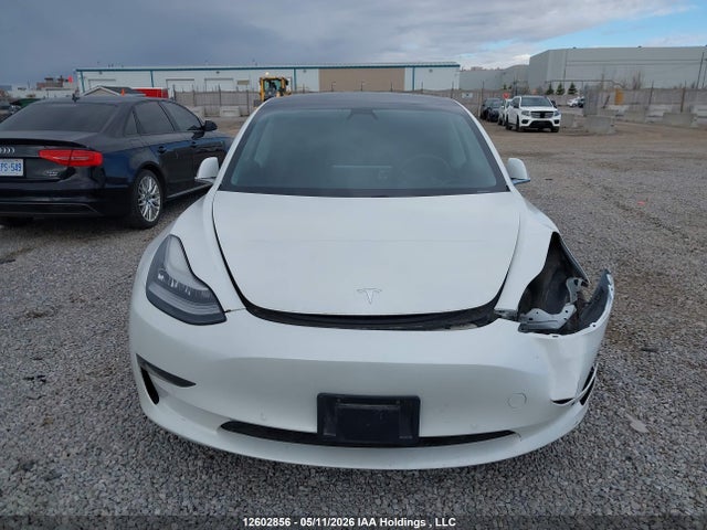 Aukcja sprzedaży 2020 Tesla Model 3, vin: 5YJ3E1EA8LF715541, numer aukcji: 12602856