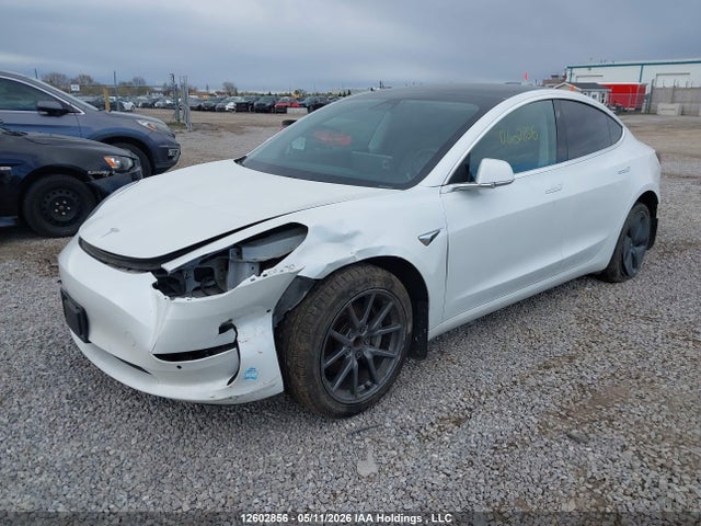 Aukcja sprzedaży 2020 Tesla Model 3, vin: 5YJ3E1EA8LF715541, numer aukcji: 12602856