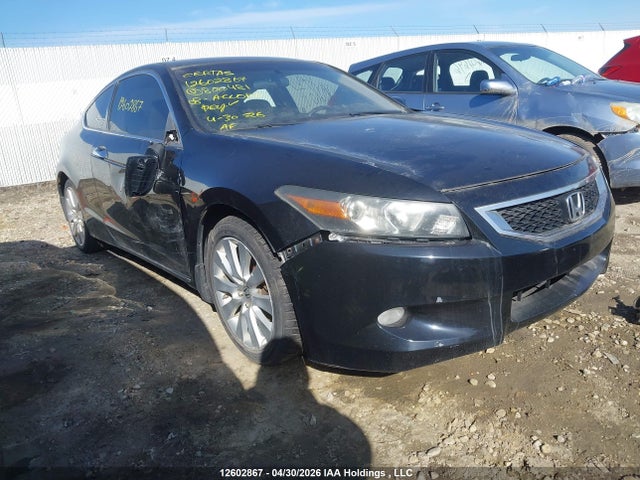 Auction sale of the 2008 Honda Accord Exl, vin: 1HGCS22818A800481, lot number: 12602867