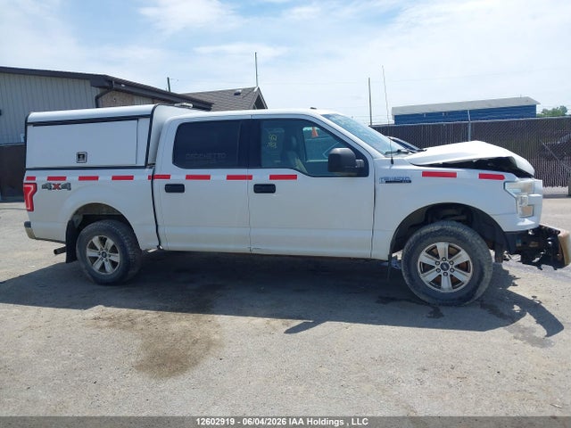 2015 Ford F150 Supercrew მანქანა იყიდება აუქციონზე, vin: 1FTEW1E81FFB85772, აუქციონის ნომერი: 12602919
