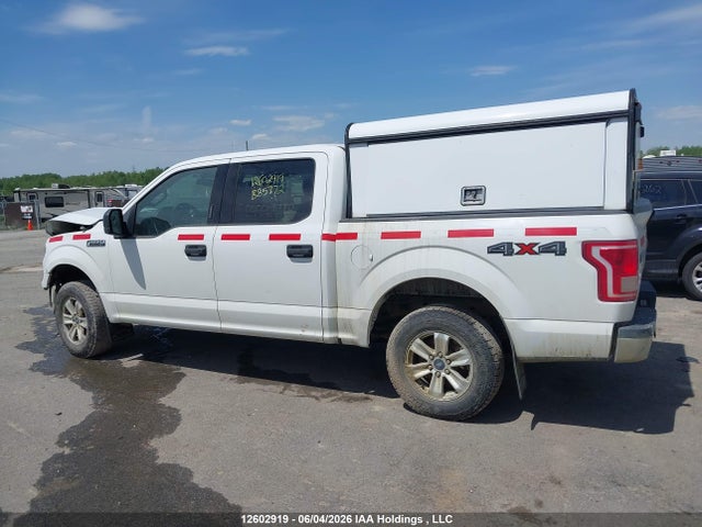 2015 Ford F150 Supercrew მანქანა იყიდება აუქციონზე, vin: 1FTEW1E81FFB85772, აუქციონის ნომერი: 12602919